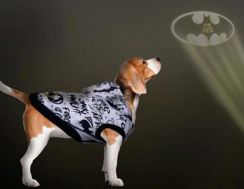 BATMAN - Hundtröja - XXS Cerda