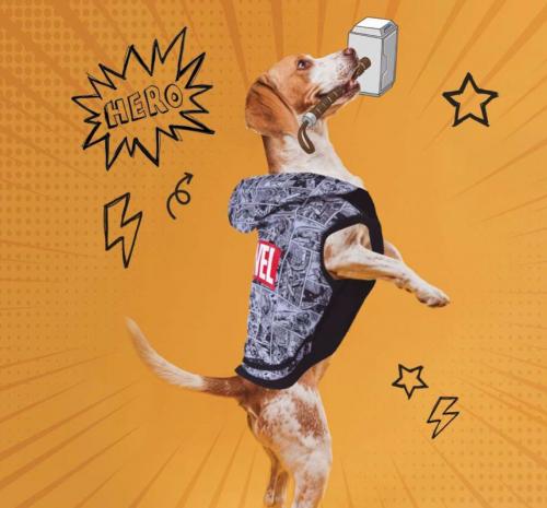 MARVEL - Hundtröja - XXS Cerda