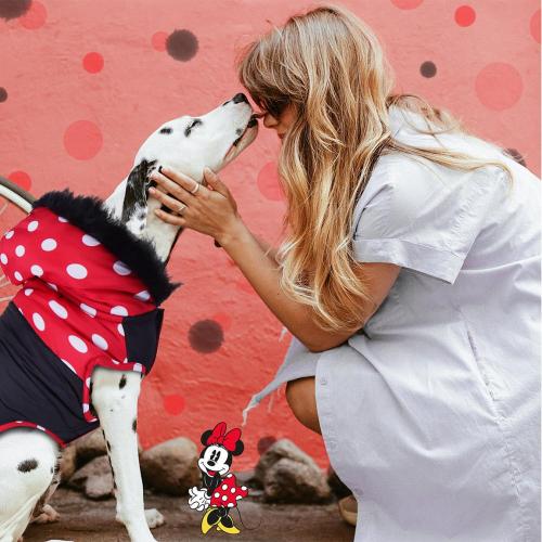 MINNIE - Hundjacka - XXS Cerda