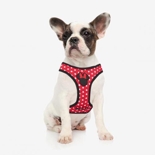 MINNIE - Hundsele - M/L Cerda