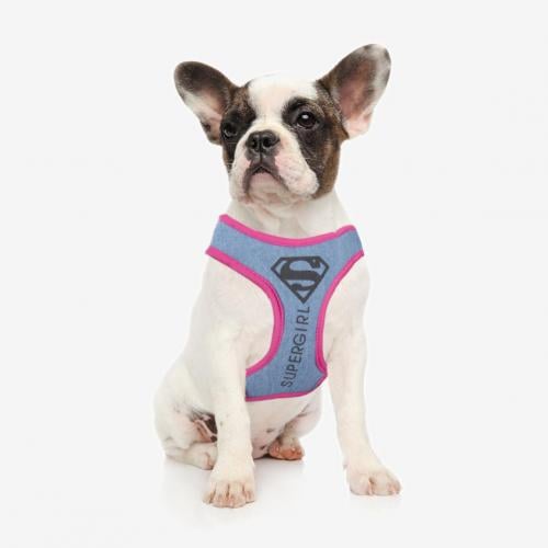 SUPERGIRL - Hundsele - XXS/XS Cerda