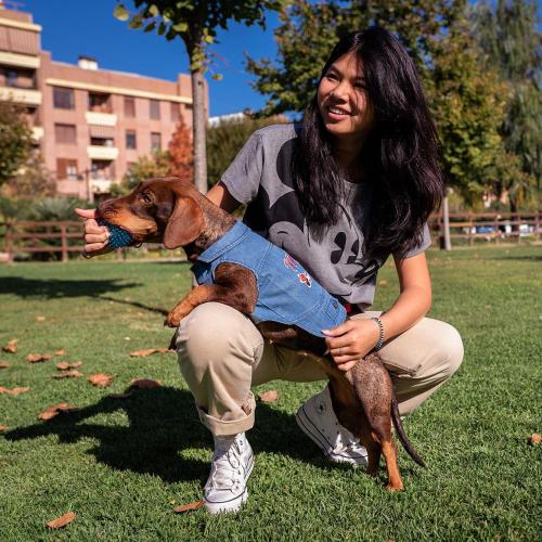 MINNIE - Hund Denimjacka - XXS Cerda