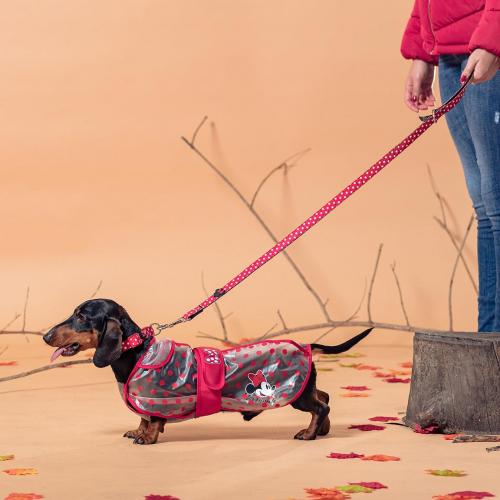 MINNIE - Dog Raincoat - XS Cerda