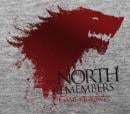 GAME OF THRONES - T-Shirt The North ... Men (S) ABYstyle