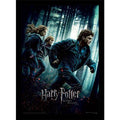 HARRY POTTER - Deathly Hollows Part 1 - Collector Print 30x40cm Pyramid