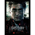HARRY POTTER - Deathly Hollows Part 2 "Harry" - Samlartryck 30x40cm Pyramid