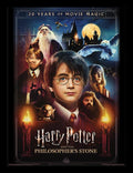 HARRY POTTER - 20 Years Of Movie Magic - Inramad Print 30x40cm Pyramid