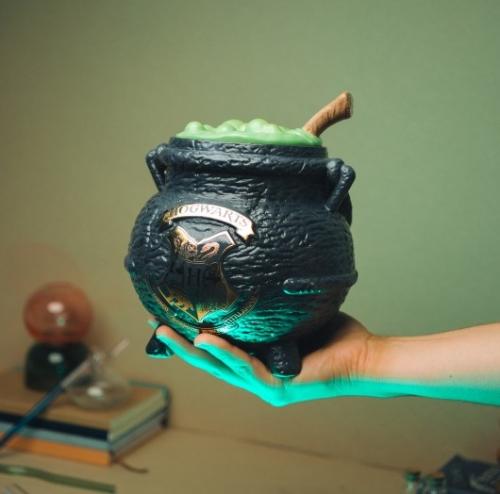 HARRY POTTER - Kittelformad Kakburk Grupo Erik