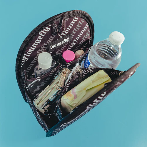 LOUNGEFLY - Insert Organizer - Mini Ryggsäck Organiser LoungeFly Loungefly