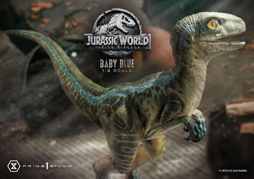 JURASSIC WORLD - Baby Blue - Statuette Prime1 '34x48x26cm' Prime 1 Studio