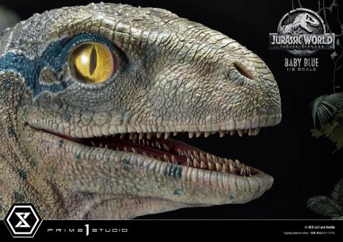 JURASSIC WORLD - Baby Blue - Statuette Prime1 '34x48x26cm' Prime 1 Studio