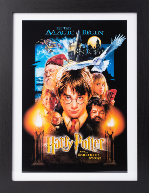 HARRY POTTER - And the Philosopher's Stone - Collector Print '30x40cm' GB Eye