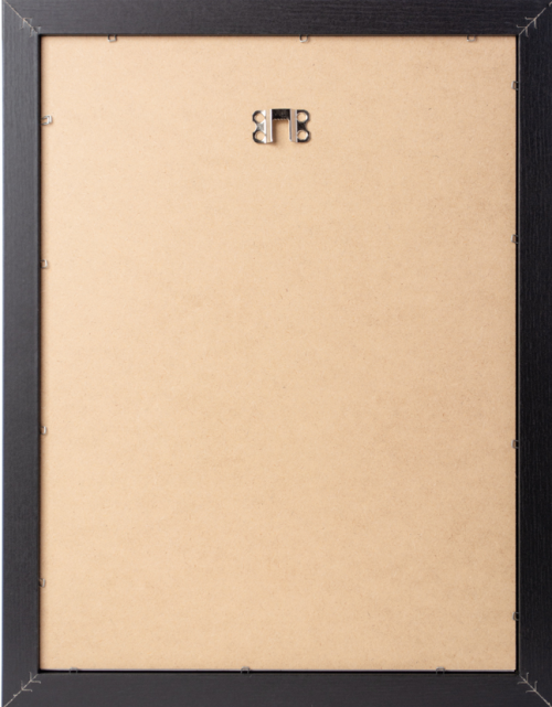 HARRY POTTER - And the Philosopher's Stone - Collector Print '30x40cm' GB Eye