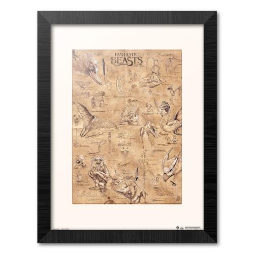 FANTASTIC BEASTS - Djur - Samlartryck GB Eye
