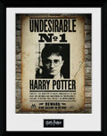 HARRY POTTER - Collector Print 30X40 - Undesirable No1 GB Eye