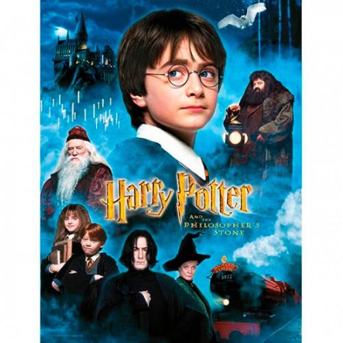 HARRY POTTER - GLASS PRINT - Filosofens Sten - 30X40 Cm SD Toys