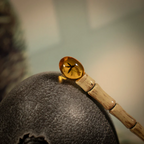 JURASSIC PARK 30TH - Ägg + Käpp Set - Begränsad Upplaga Replica Fanattik