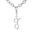 HARRY POTTER - Blixtlås och Glasögon - Clip on Charm för Armband Carat