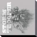 STAR WARS - Canvas 40X40 '38mm' - Episode VII - Snowtrooper Grey Pyramid