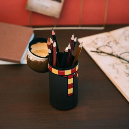 HARRY POTTER - Harry - Huvud - 3D Silikon Pennfodral Grupo Erik